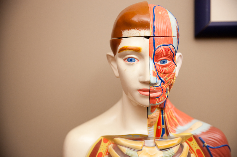 Medical Mannequin